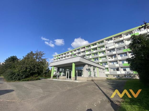 Pronájem bytu 1+kk, Hradec Králové - Nový Hradec Králové, Brožíkova, 22 m2