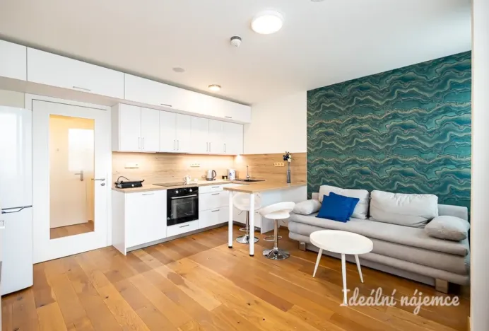 Pronájem bytu 1+kk, Praha - Vinohrady, Perucká, 26 m2