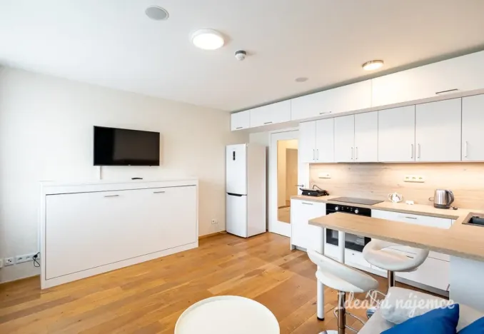 Pronájem bytu 1+kk, Praha - Vinohrady, Perucká, 26 m2