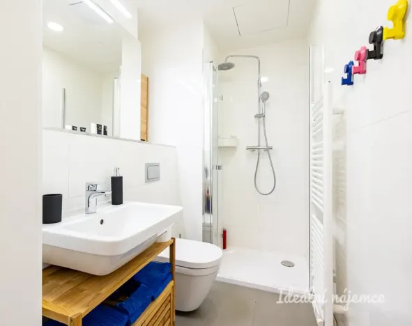Pronájem bytu 1+kk, Praha - Vinohrady, Perucká, 26 m2