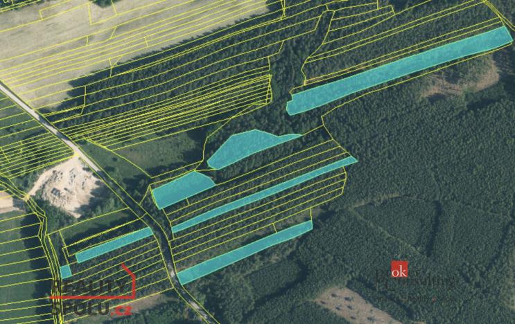 Prodej lesa, Nekmíř, 22136 m2