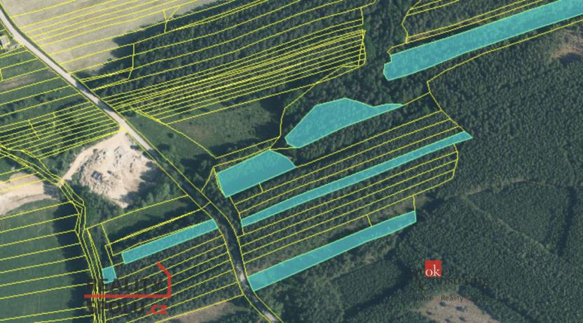 Prodej lesa, Nekmíř, 22136 m2