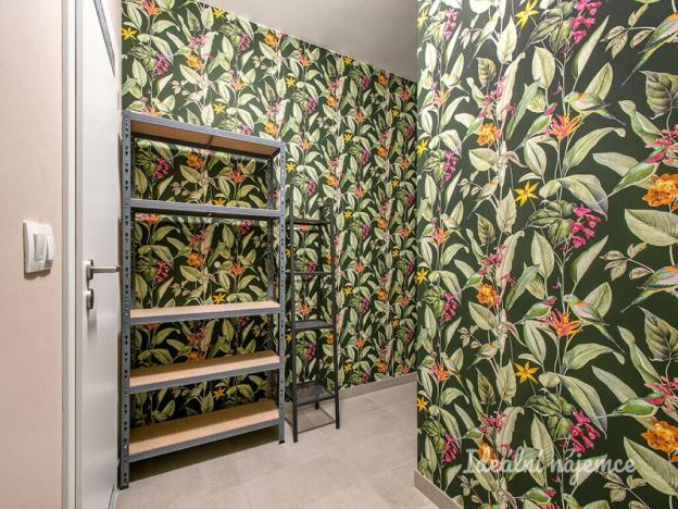 Pronájem bytu 2+kk, Praha - Karlín, Breitfeldova, 55 m2