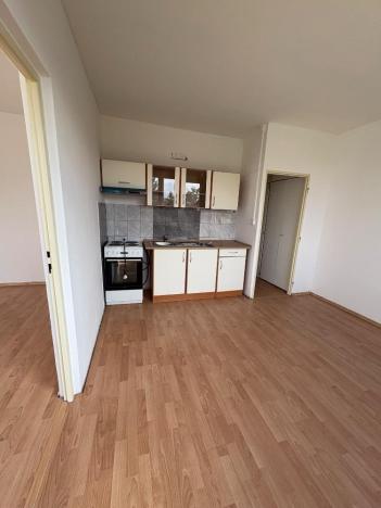 Pronájem bytu 1+1, Duchcov, Osecká, 38 m2