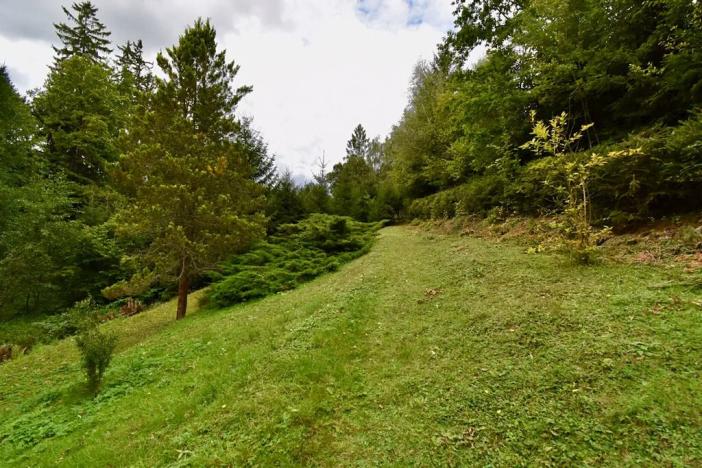 Prodej chaty, Číhošť, 75 m2