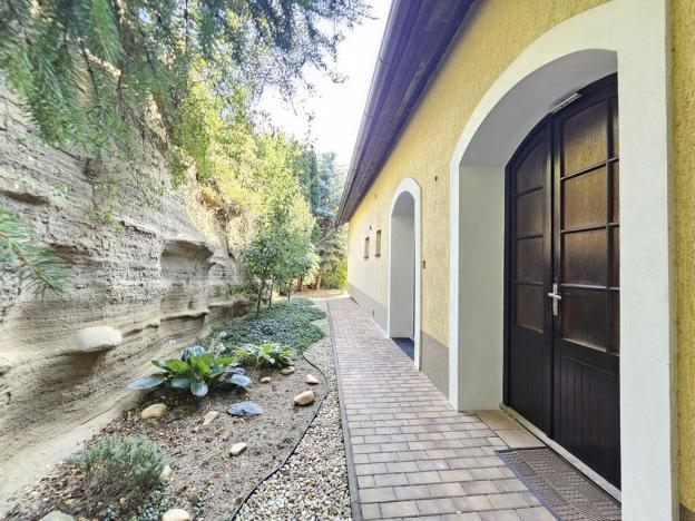 Prodej komerční nemovitosti, Brno - Černovice, Vinohradská, 350 m2