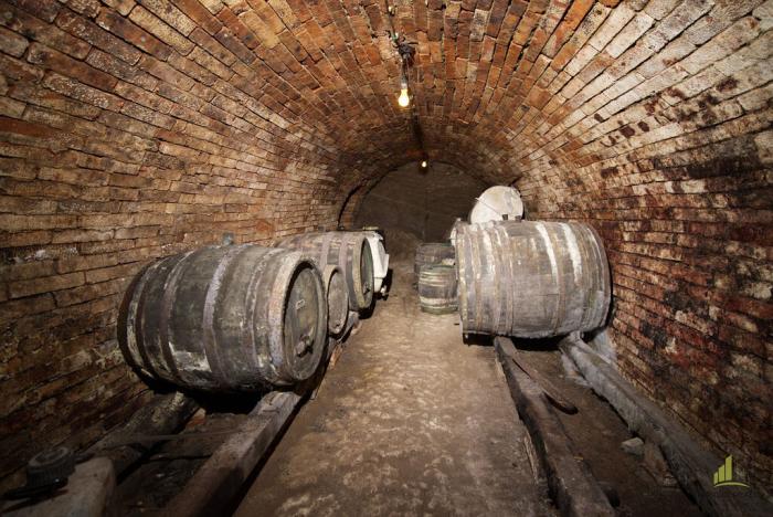 Prodej rodinného domu, Vrbice, 170 m2