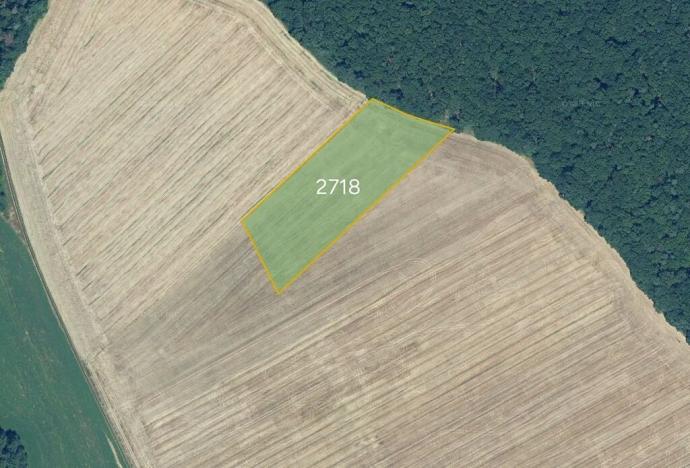 Prodej pole, Malé Hoste, Slovensko, 13393 m2