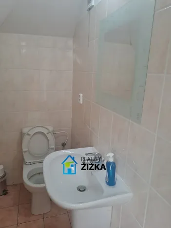 Pronájem výrobních prostor, Hrušovany u Brna, U Výzkumu, 200 m2