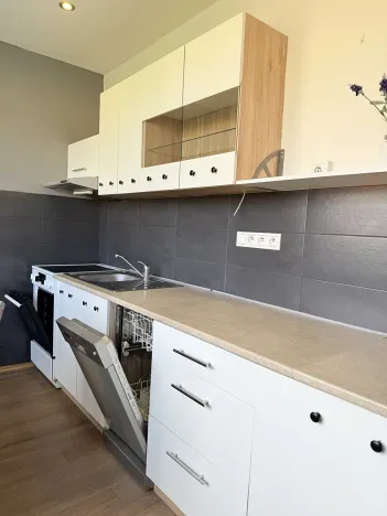 Pronájem bytu 2+1, Liberec, Aloisina výšina, 54 m2