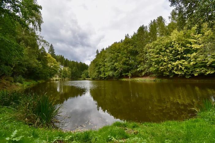 Prodej chalupy, Číhošť, 75 m2