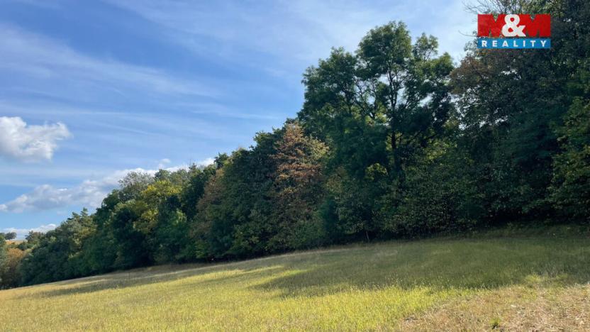 Prodej lesa, Kněždub, 845297 m2