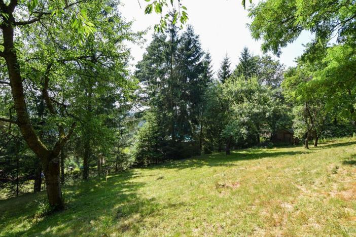 Prodej zahrady, Stříbrná Skalice, osada Spálený, 1015 m2