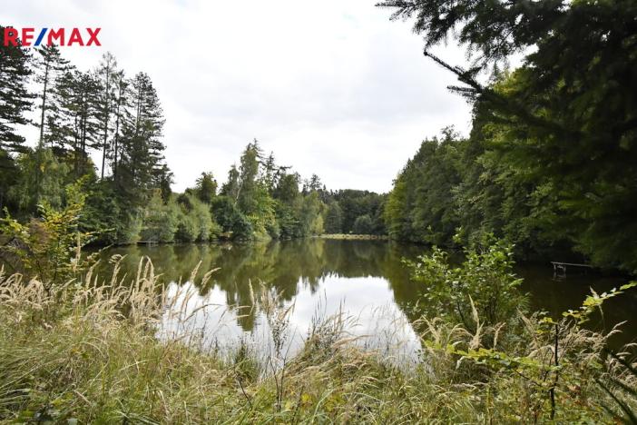 Prodej chaty, Opatovice I, 35 m2