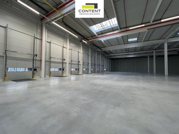 Pronájem výrobních prostor, Myslinka, 29469 m2