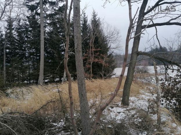 Prodej lesa, Votice - Hory, 9012 m2