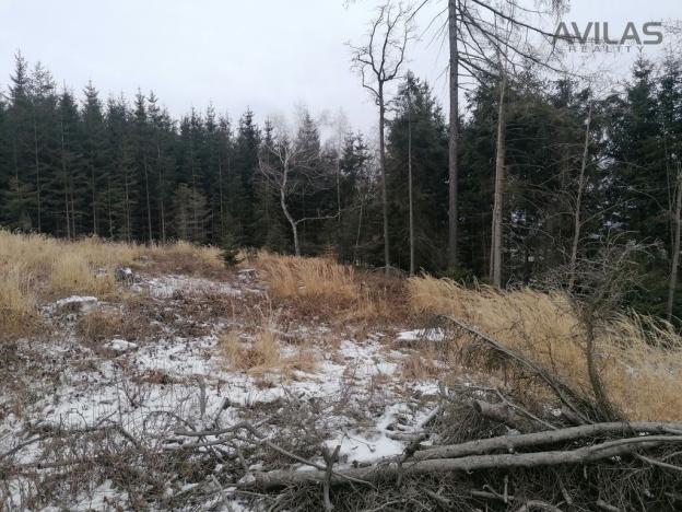 Prodej lesa, Votice - Hory, 9012 m2