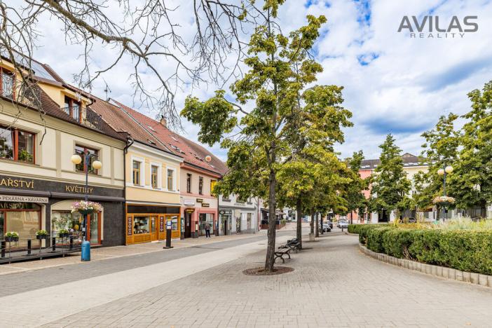 Prodej vícegeneračního domu, Benešov, Masarykovo náměstí, 256 m2