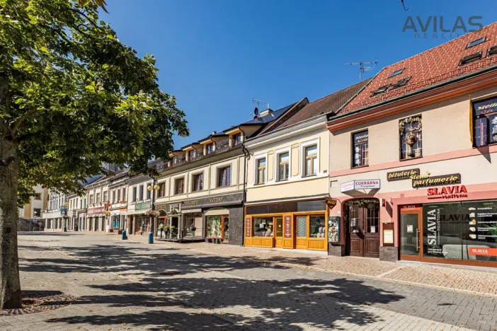 Prodej vícegeneračního domu, Benešov, Masarykovo náměstí, 256 m2