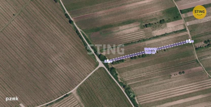 Prodej sadu/vinice, Čejkovice, 2286 m2