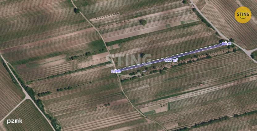 Prodej sadu/vinice, Čejkovice, 2286 m2