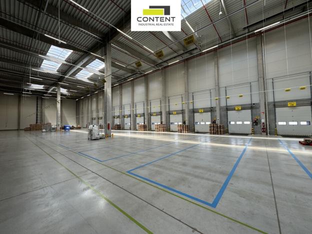 Pronájem výrobních prostor, Rumburk - Rumburk 2-Horní Jindřichov, Pražská, 15000 m2