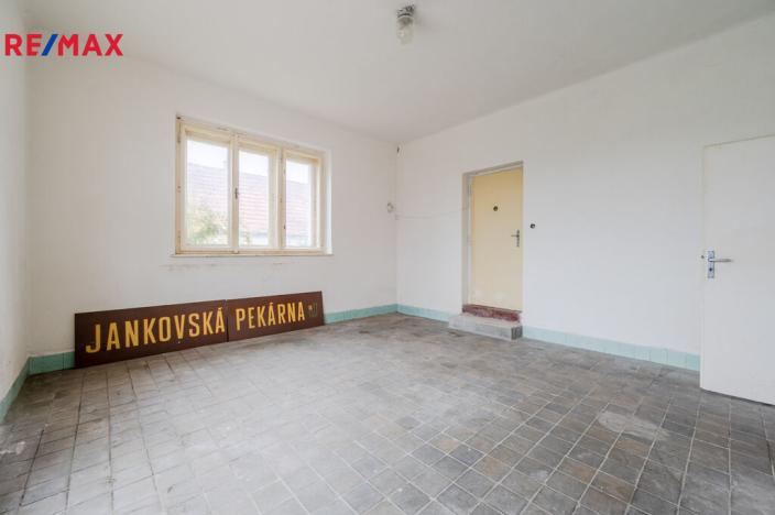 Prodej vícegeneračního domu, Jankov, Blanická, 410 m2