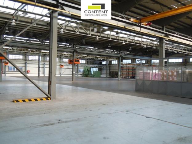 Pronájem výrobních prostor, Červený Kostelec - Lhota za Červeným Kostelcem, 4465 m2