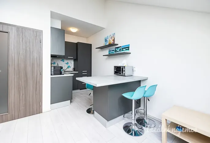 Pronájem bytu 2+kk, Praha - Nové Město, Sokolská, 49 m2