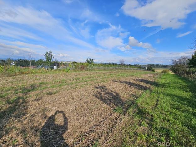 Prodej pozemku pro bydlení, Skoronice, 2691 m2