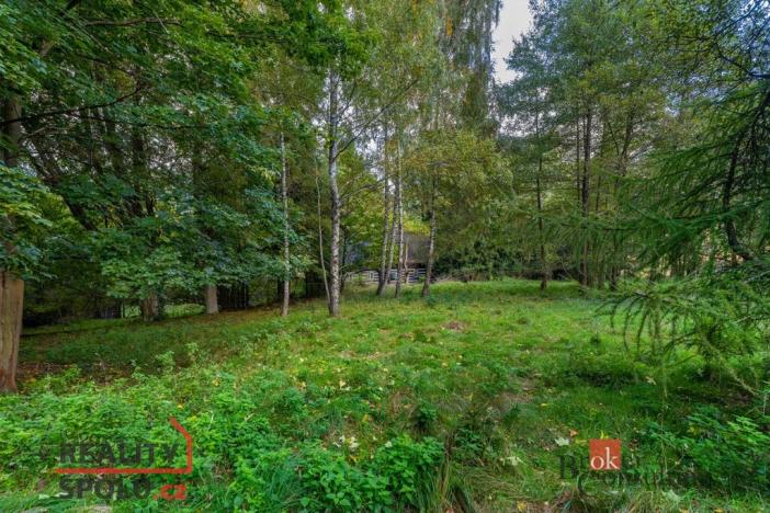 Prodej chalupy, Chřibská - Krásné Pole, 150 m2