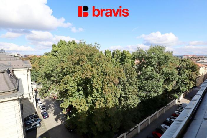 Pronájem bytu 2+kk, Brno - Veveří, 122 m2