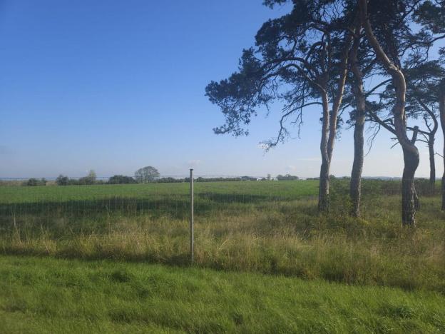 Prodej pole, Roudnice nad Labem, Žižkova, 2271 m2