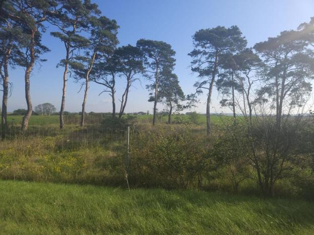 Prodej pole, Roudnice nad Labem, Žižkova, 2271 m2