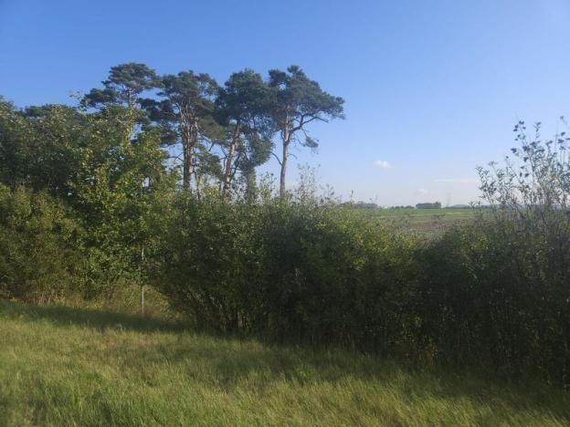 Prodej pole, Roudnice nad Labem, Žižkova, 2271 m2