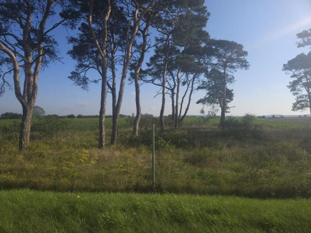 Prodej pole, Roudnice nad Labem, Žižkova, 2271 m2