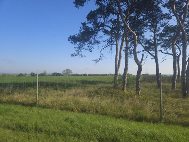 Prodej pole, Roudnice nad Labem, Žižkova, 2271 m2