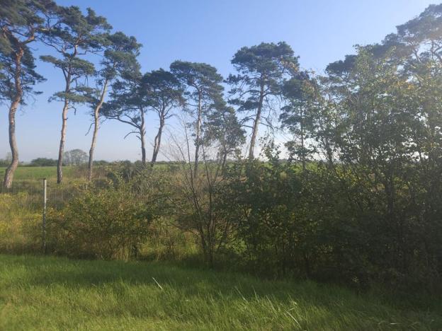 Prodej pole, Roudnice nad Labem, Žižkova, 2271 m2