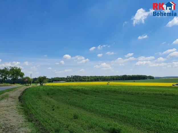 Prodej pozemku pro bydlení, Čistá, 3826 m2