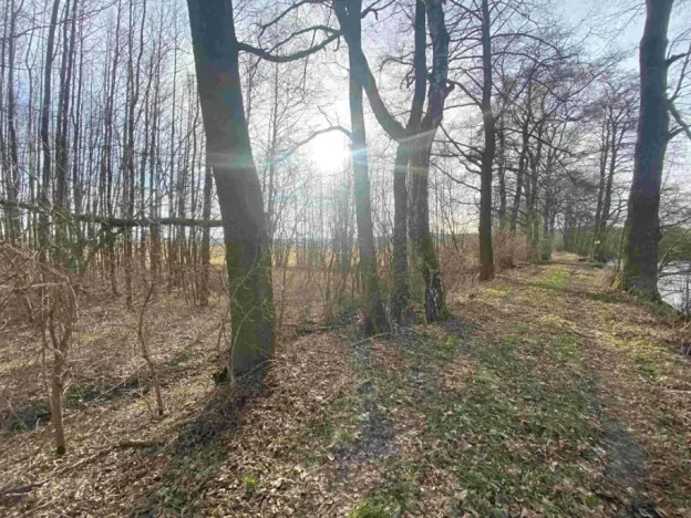 Dražba pozemku, Trstěnice, 1109 m2