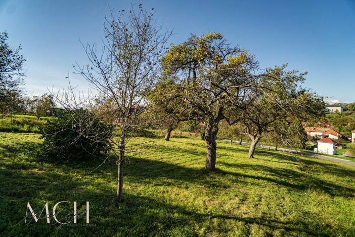 Prodej pozemku, Pitín, 1356 m2