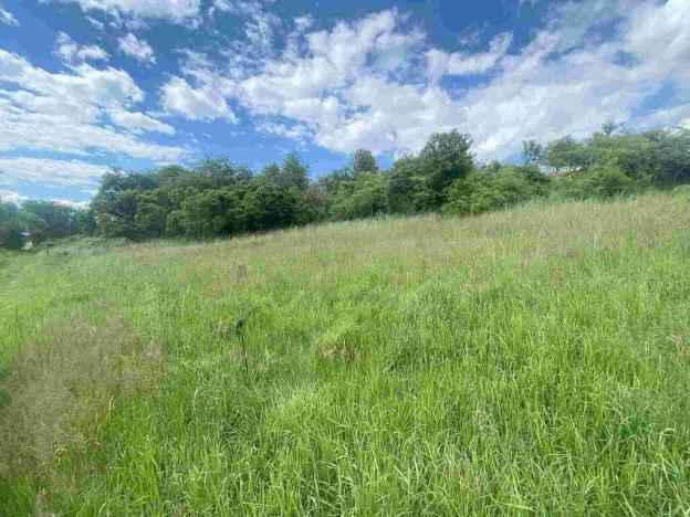 Prodej pozemku, Býkov-Láryšov - Býkov, 10215 m2