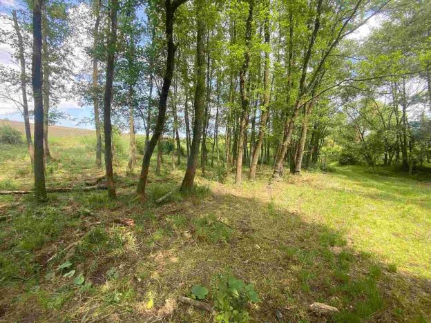 Prodej pozemku, Býkov-Láryšov - Býkov, 10215 m2