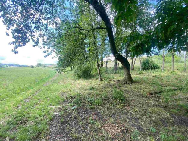 Prodej pozemku, Býkov-Láryšov - Býkov, 10215 m2