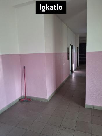 Pronájem skladu, Ždírec nad Doubravou, 330 m2