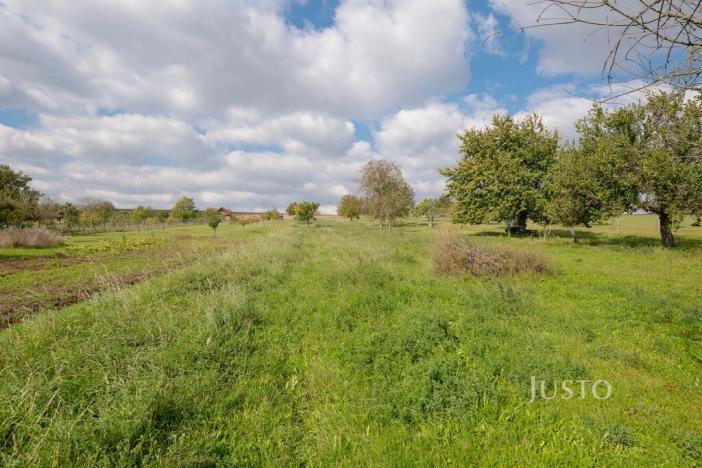 Prodej pozemku pro bydlení, Těmice, 40 m2