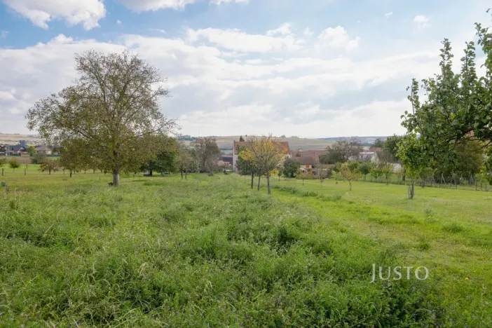 Prodej pozemku pro bydlení, Těmice, 40 m2