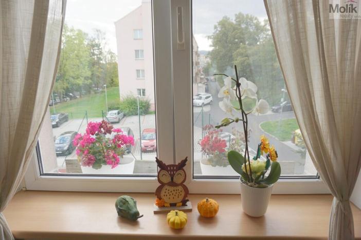 Prodej bytu 3+1, Litvínov - Horní Litvínov, Podkrušnohorská, 71 m2