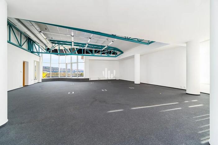 Pronájem kanceláře, Praha - Libeň, Podvinný mlýn, 6000 m2