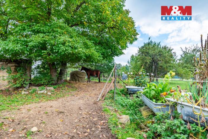 Prodej zemědělské usedlosti, Lhenice - Třešňový Újezdec, 540 m2